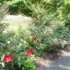 Meet your Posher, Selena